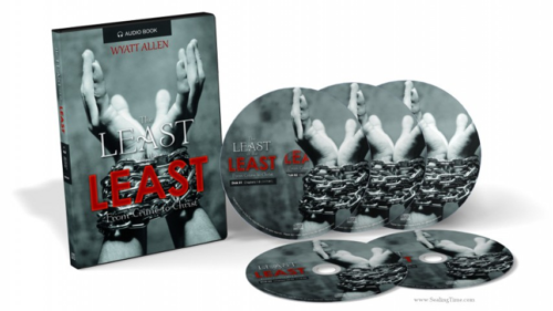 The Least of the Least (Audiobook), by Wyatt Allen